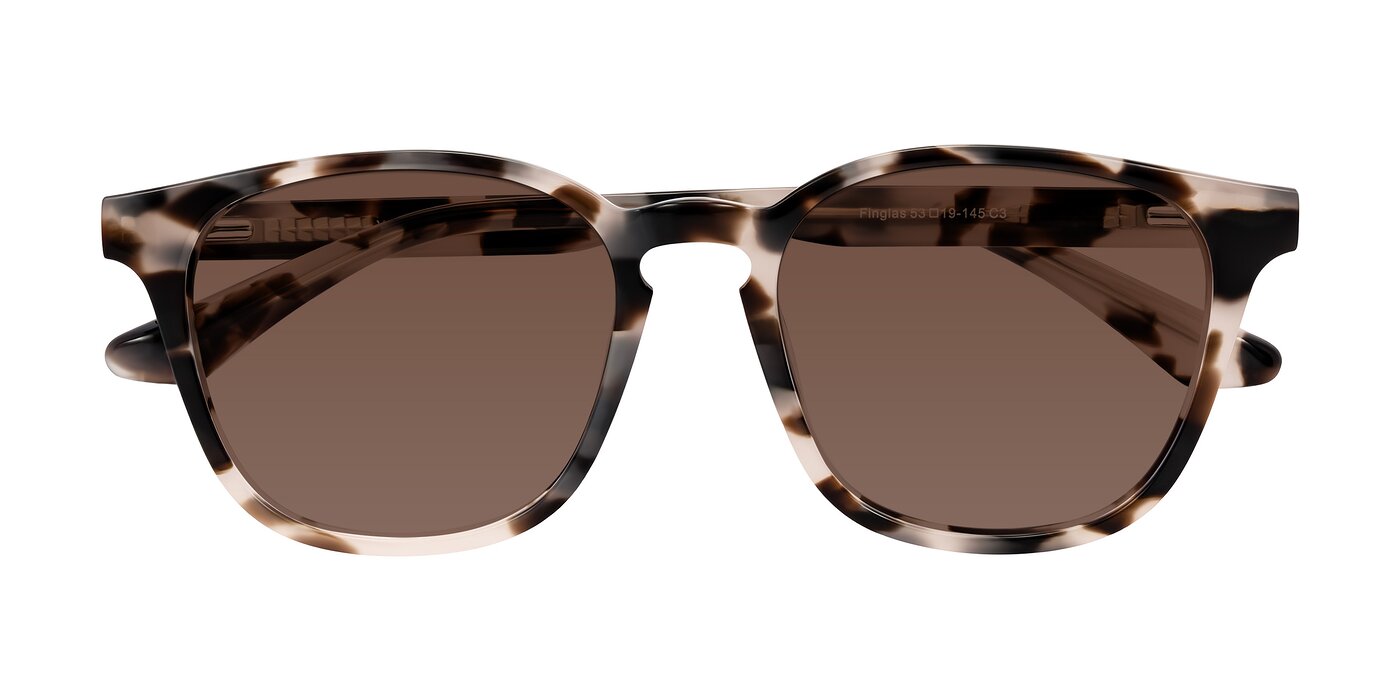 Finglas - Ivory Tortoise Tinted Sunglasses