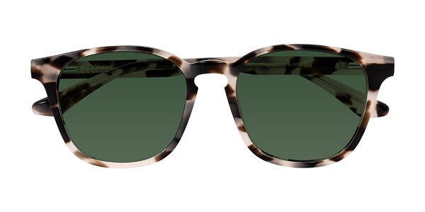 Front of Finglas in Ivory Tortoise