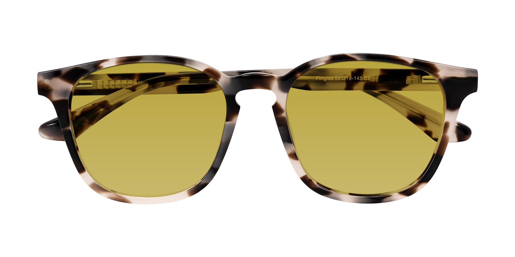 Folded Front of Finglas in Ivory Tortoise with Champagne Tinted Lenses