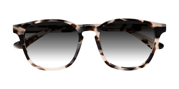 Front of Finglas in Ivory Tortoise