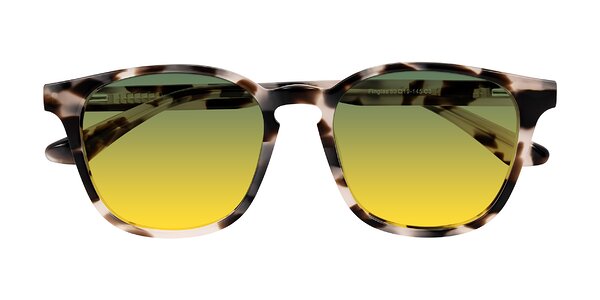 Front of Finglas in Ivory Tortoise