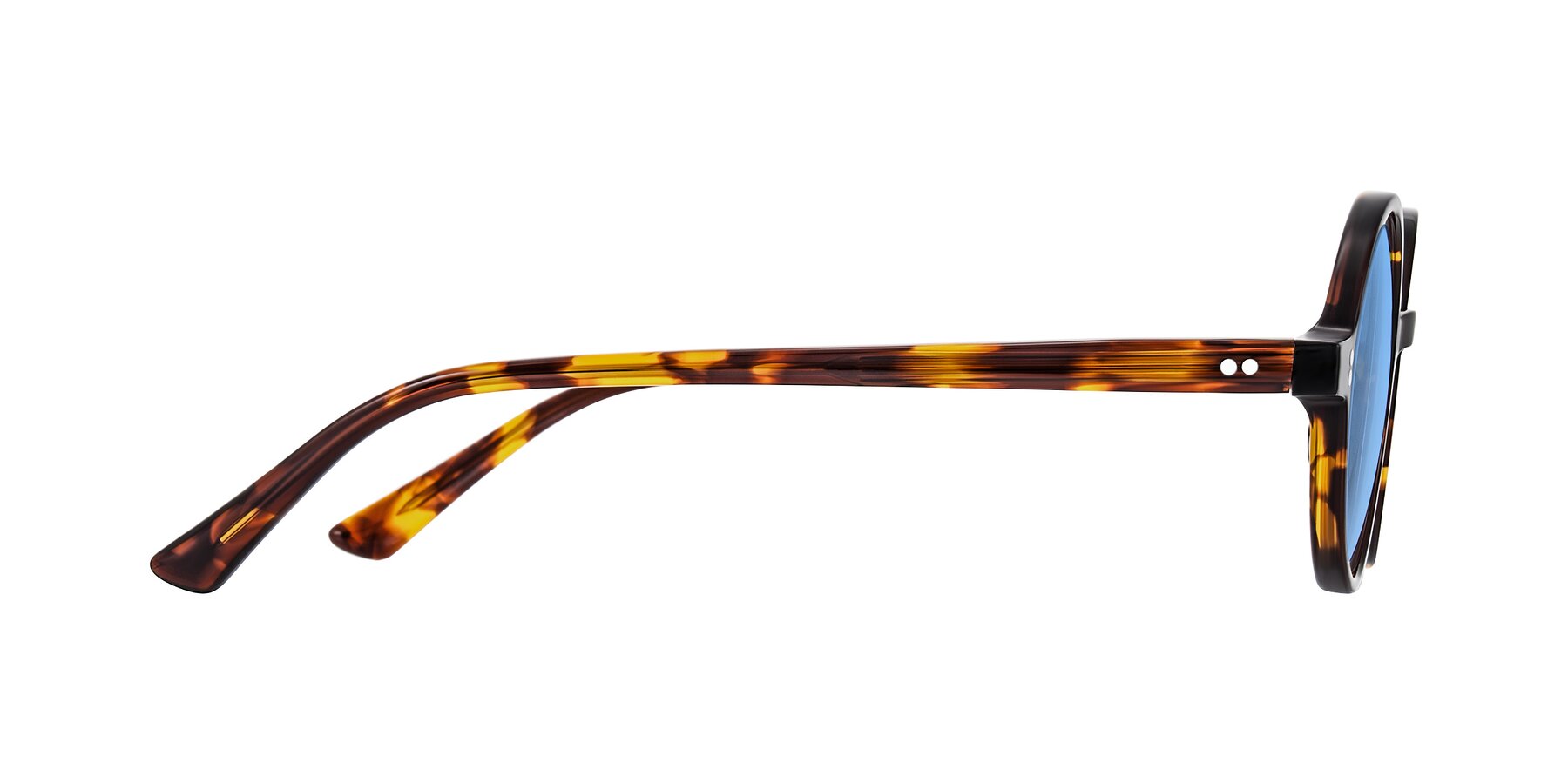 Side of Montauk in Tortoise with Medium Blue Tinted Lenses