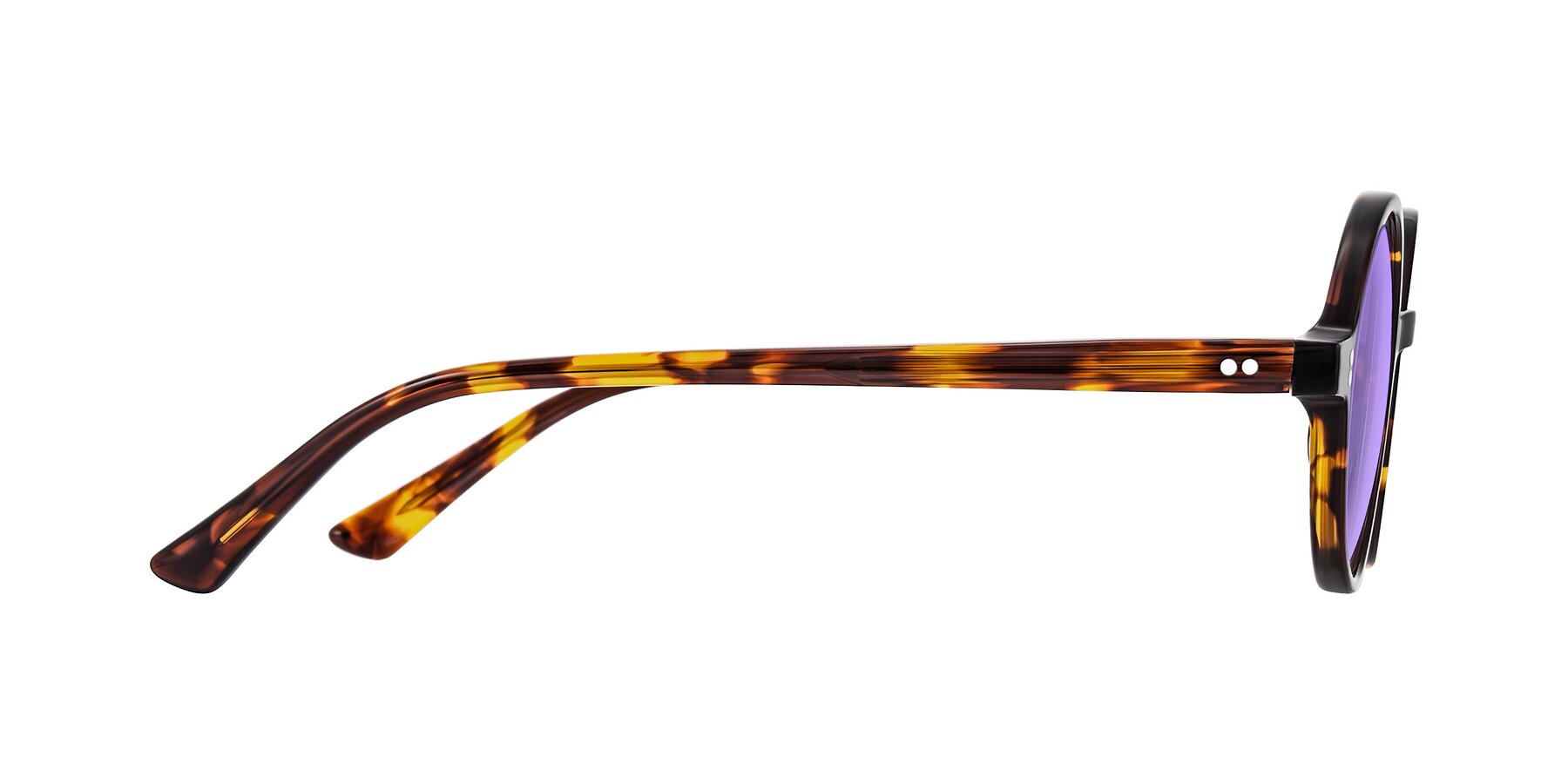 Side of Montauk in Tortoise with Medium Purple Tinted Lenses