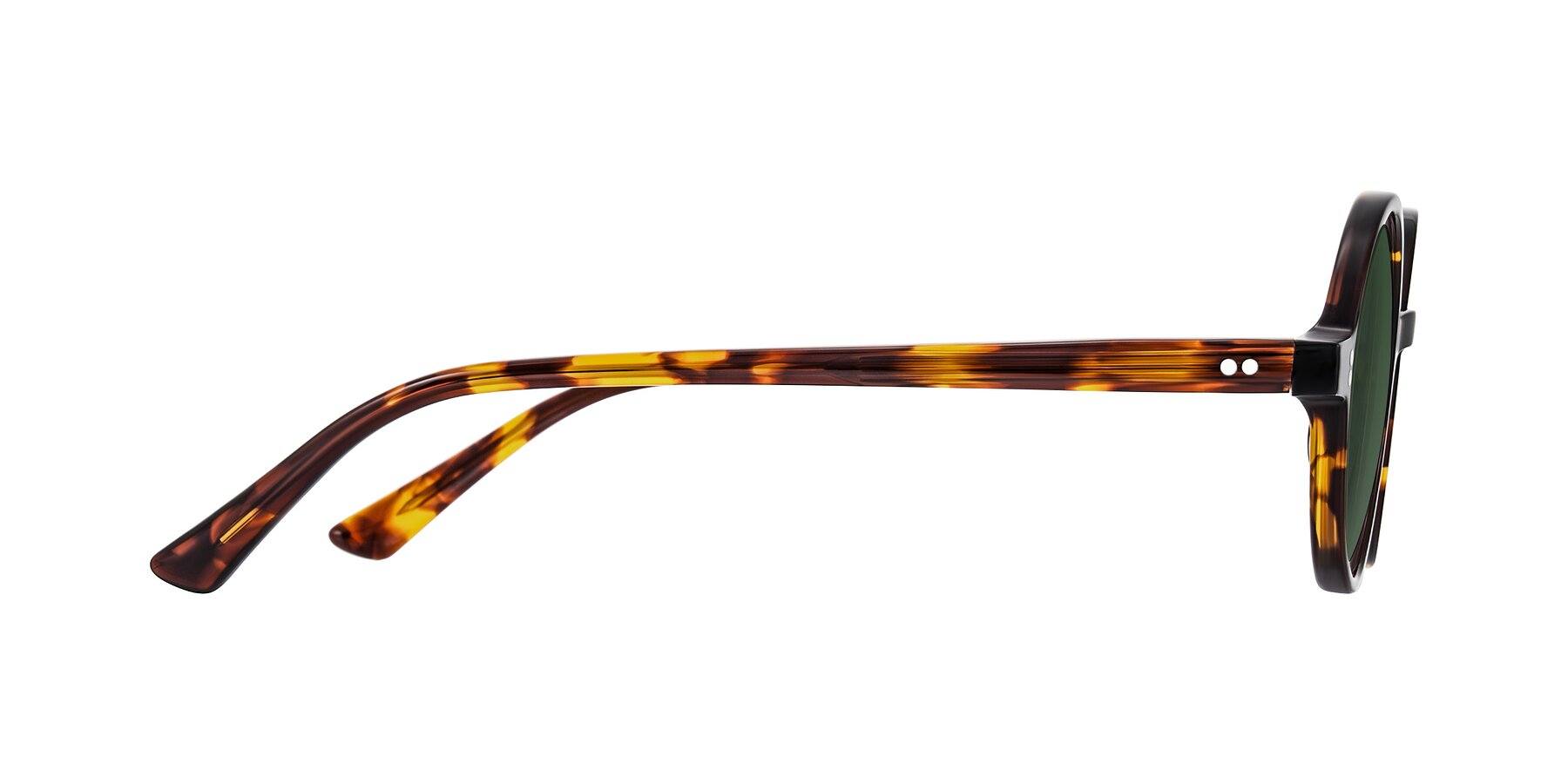 Side of Montauk in Tortoise with Green Tinted Lenses
