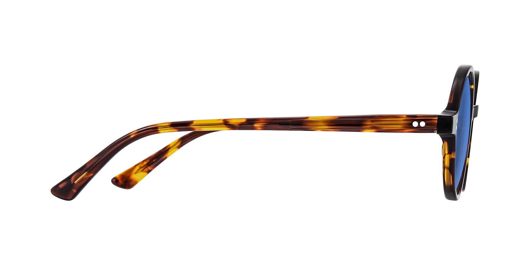Side of Montauk in Tortoise with Blue Tinted Lenses