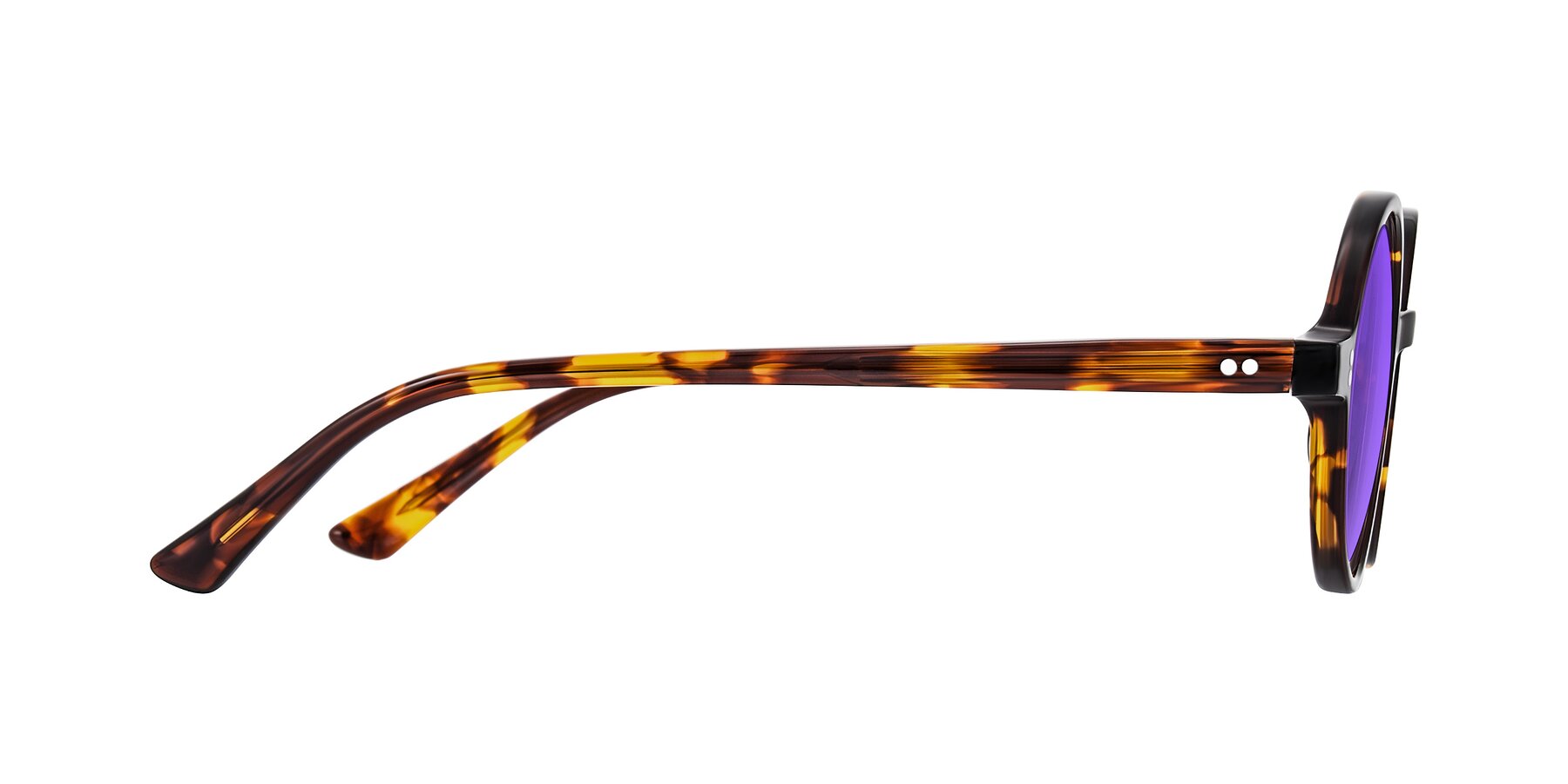 Side of Montauk in Tortoise with Purple Tinted Lenses