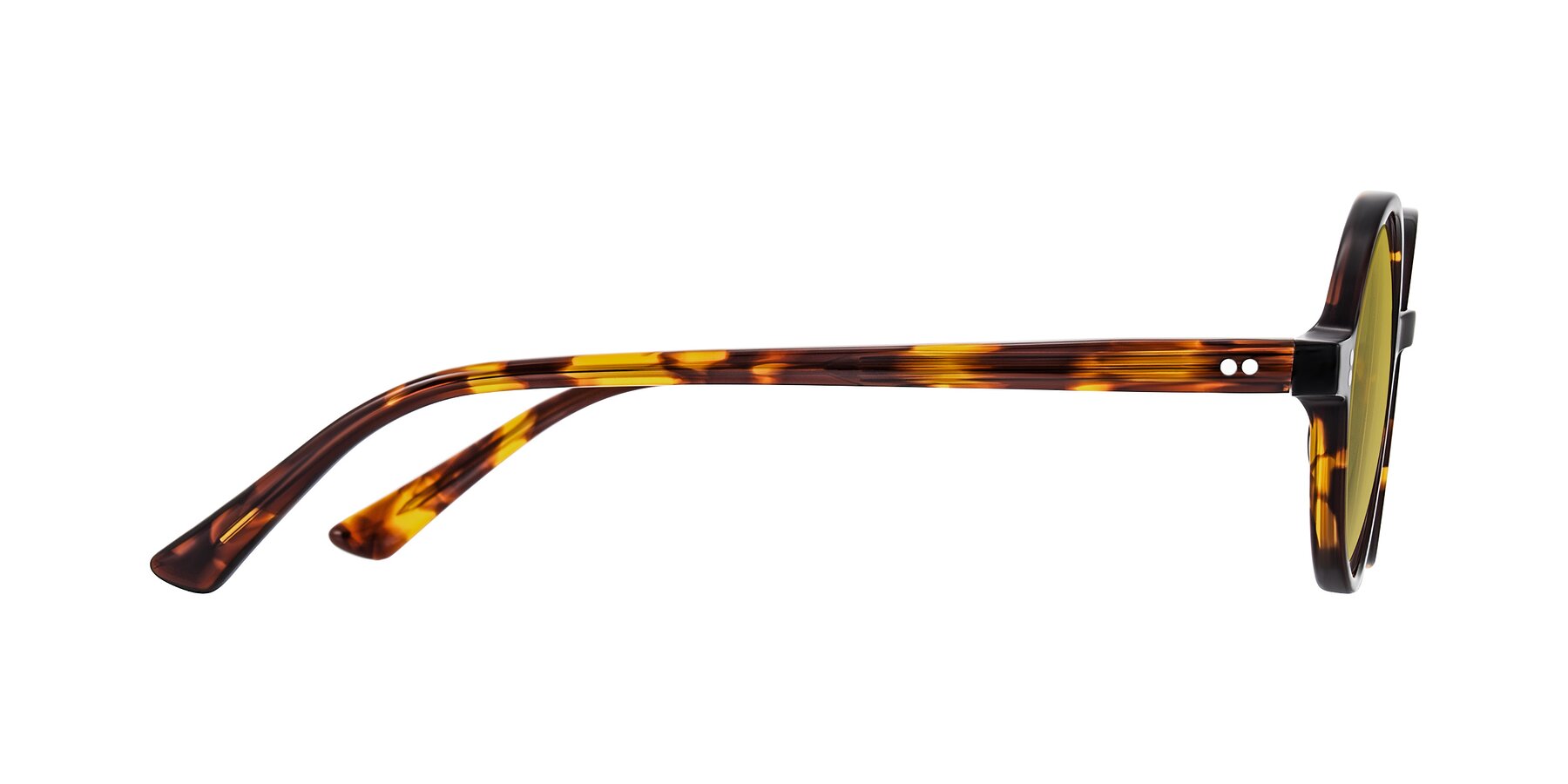Side of Montauk in Tortoise with Champagne Tinted Lenses
