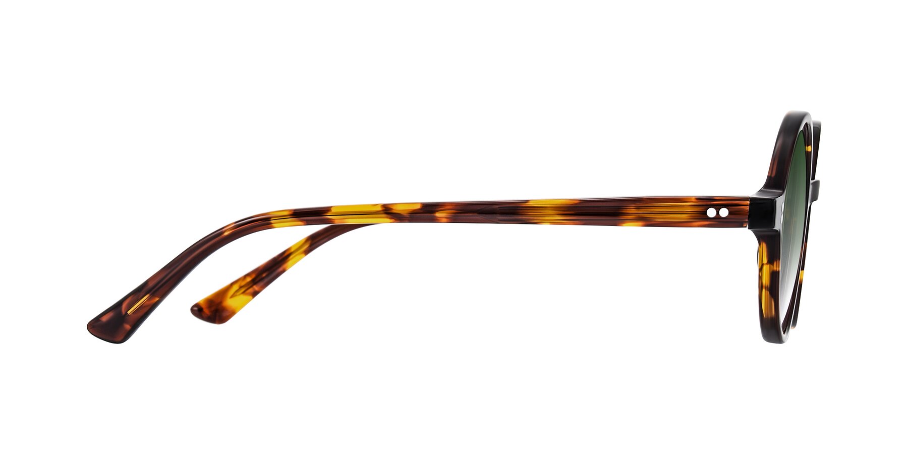 Side of Montauk in Tortoise with Green Gradient Lenses