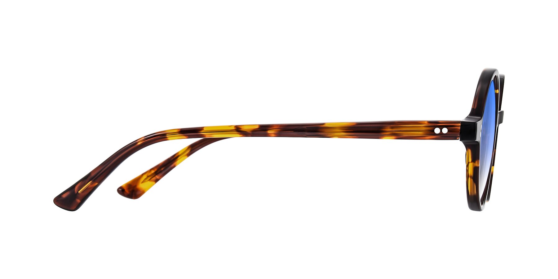 Side of Montauk in Tortoise with Blue Gradient Lenses