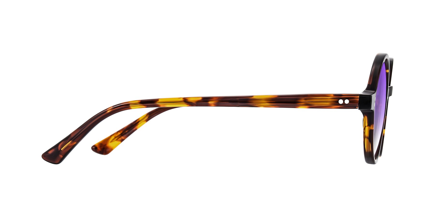 Side of Montauk in Tortoise with Purple Gradient Lenses