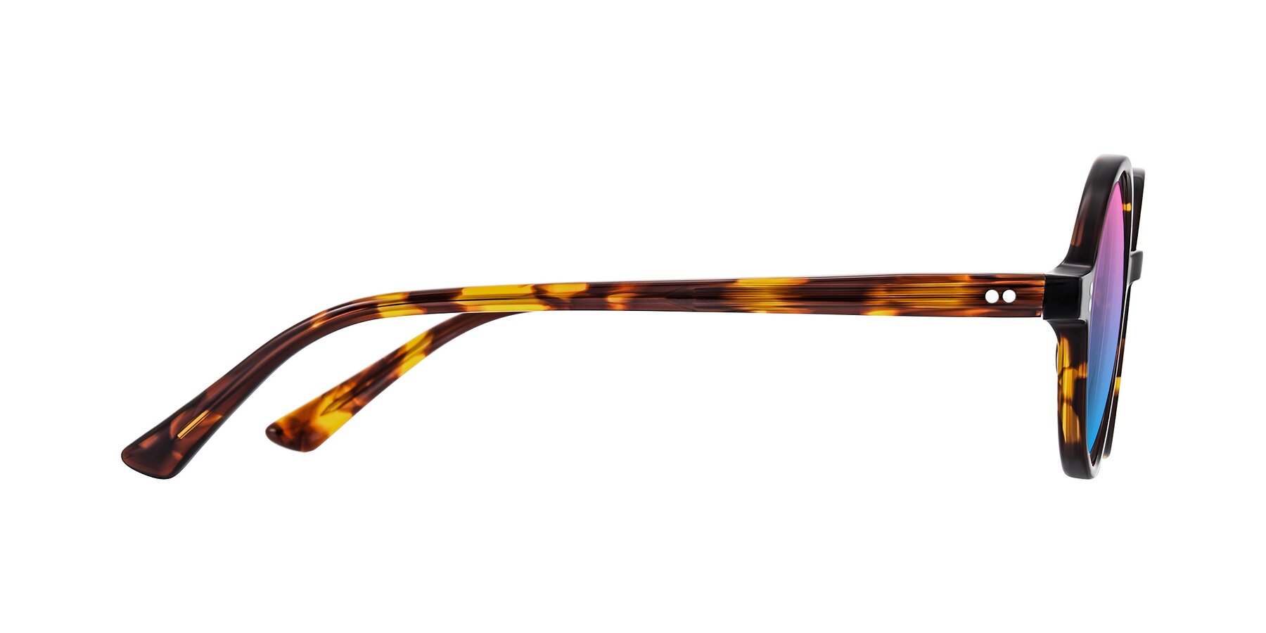 Side of Montauk in Tortoise with Pink / Blue Gradient Lenses