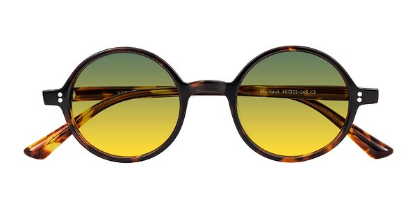 Front of Montauk in Tortoise