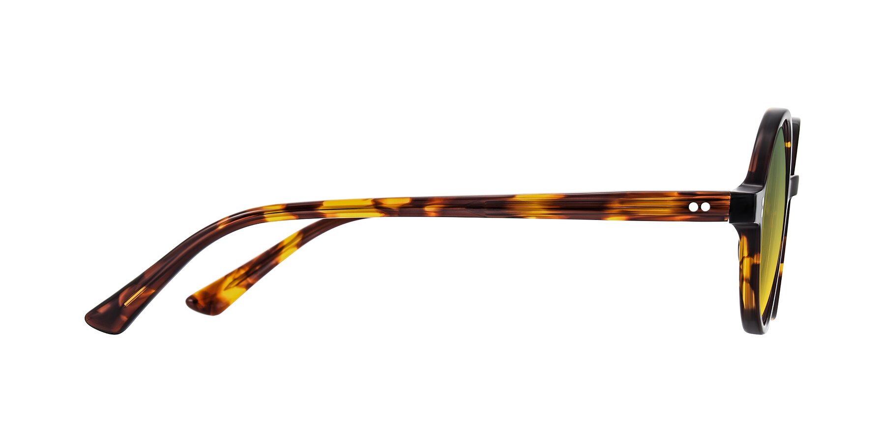 Side of Montauk in Tortoise with Green / Yellow Gradient Lenses