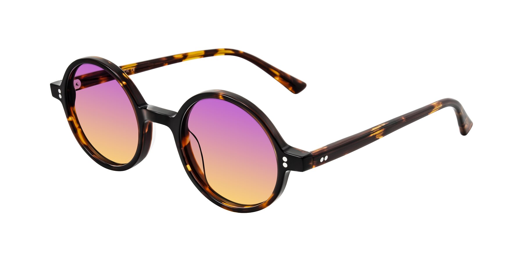 Angle of Montauk in Tortoise with Purple / Yellow Gradient Lenses