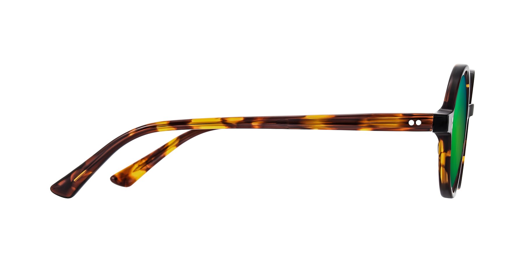 Side of Montauk in Tortoise with Green Mirrored Lenses