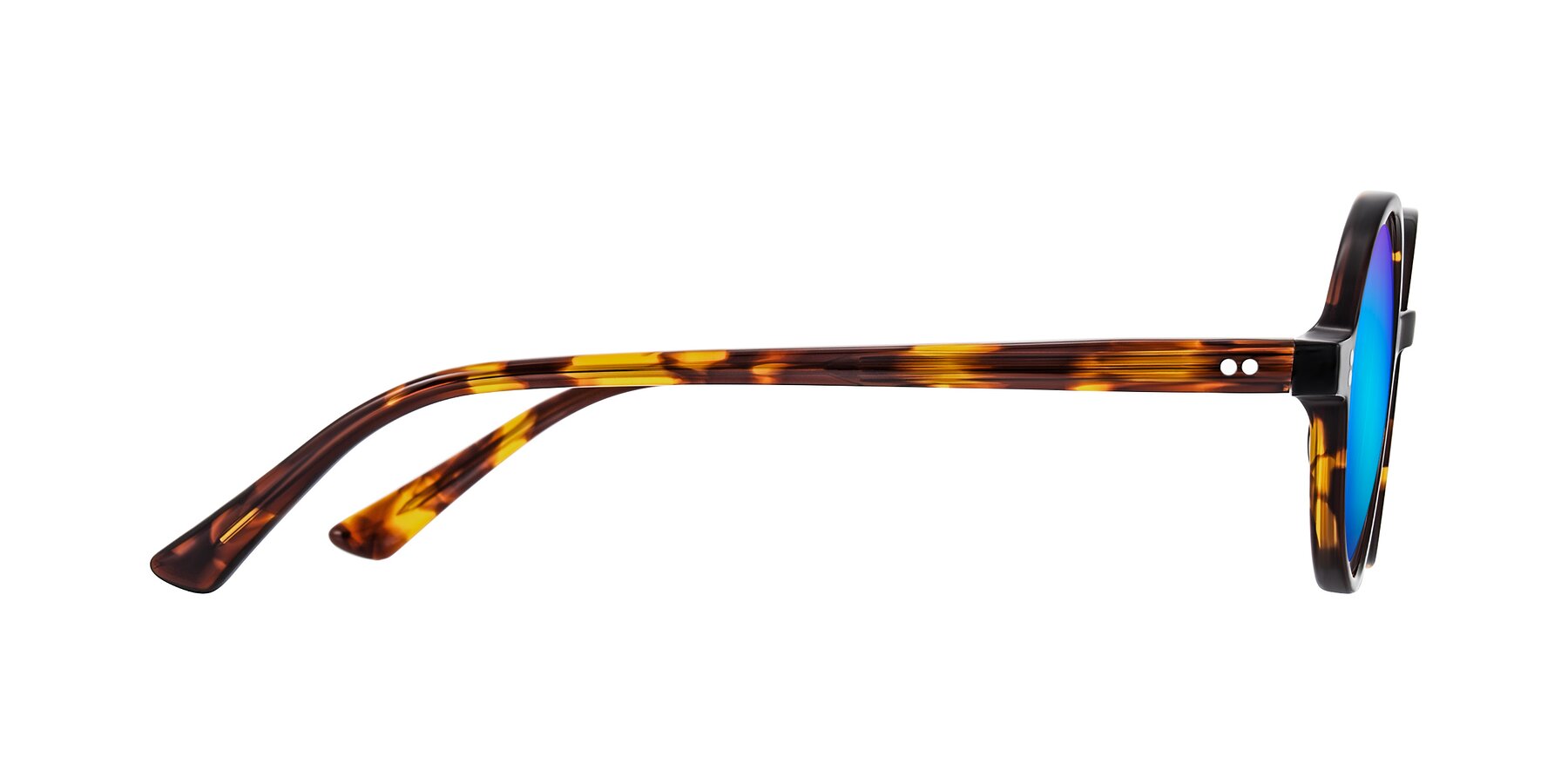 Side of Montauk in Tortoise with Blue Mirrored Lenses