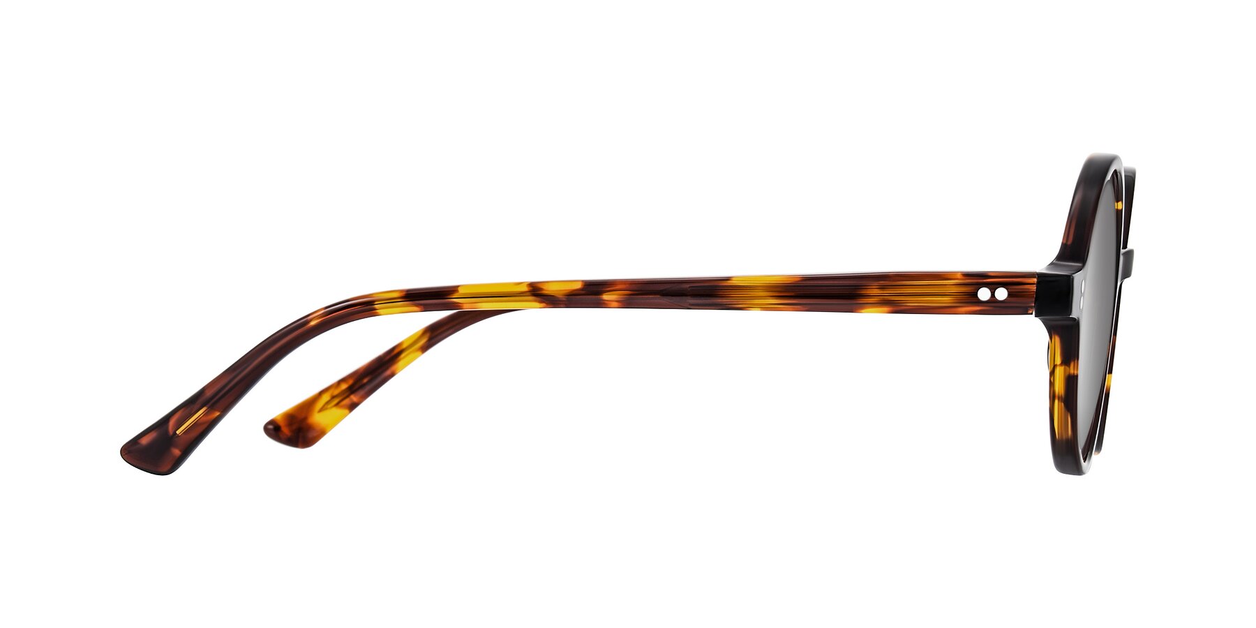 Side of Montauk in Tortoise with Silver Mirrored Lenses