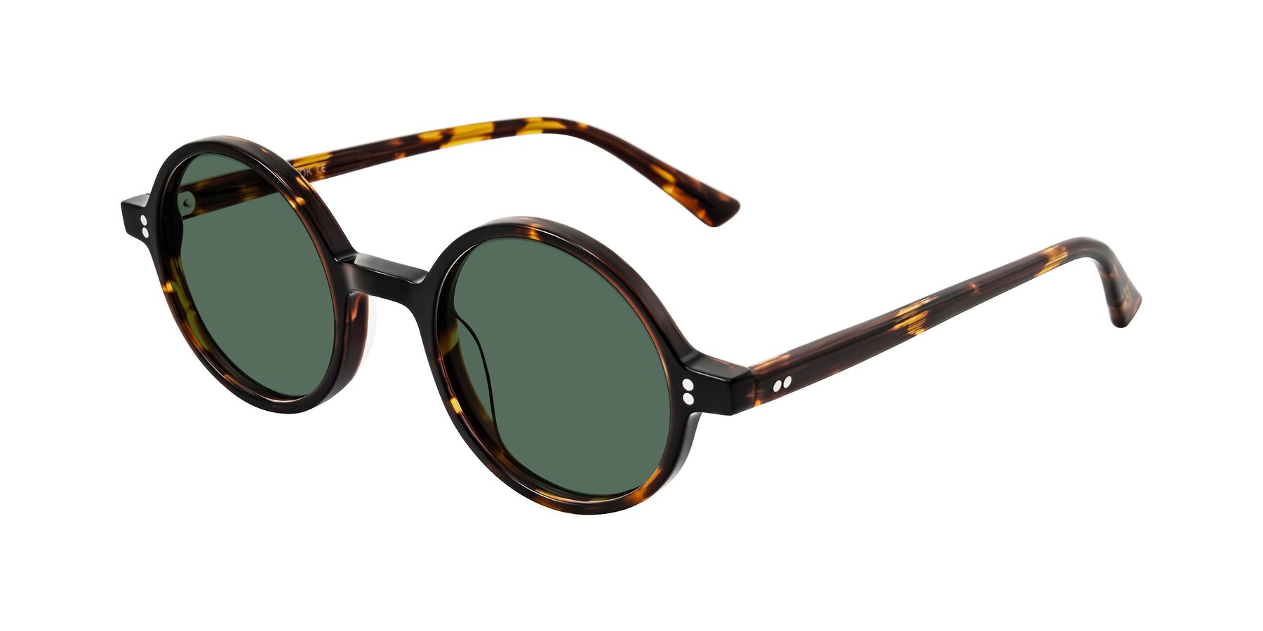 Angle of Montauk in Tortoise with Green Polarized Lenses