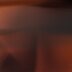 Tortoise
