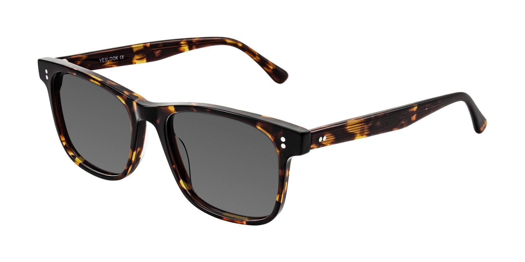 Angle of Rhanna in Tortoise with Medium Gray Tinted Lenses