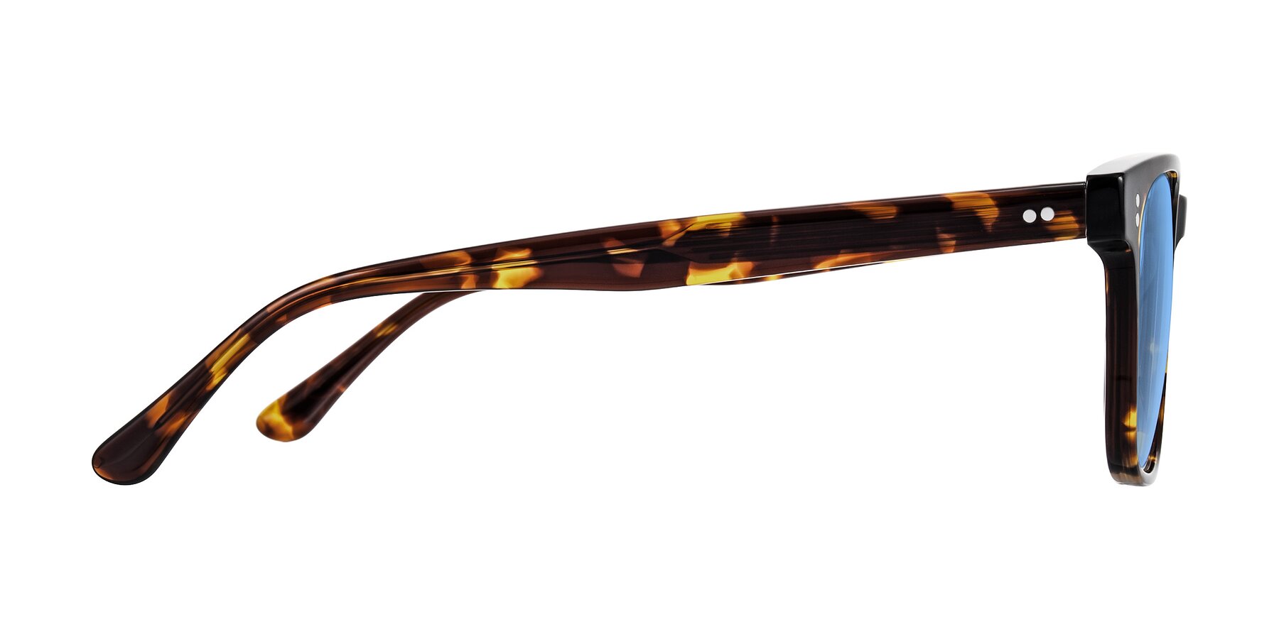 Side of Rhanna in Tortoise with Medium Blue Tinted Lenses