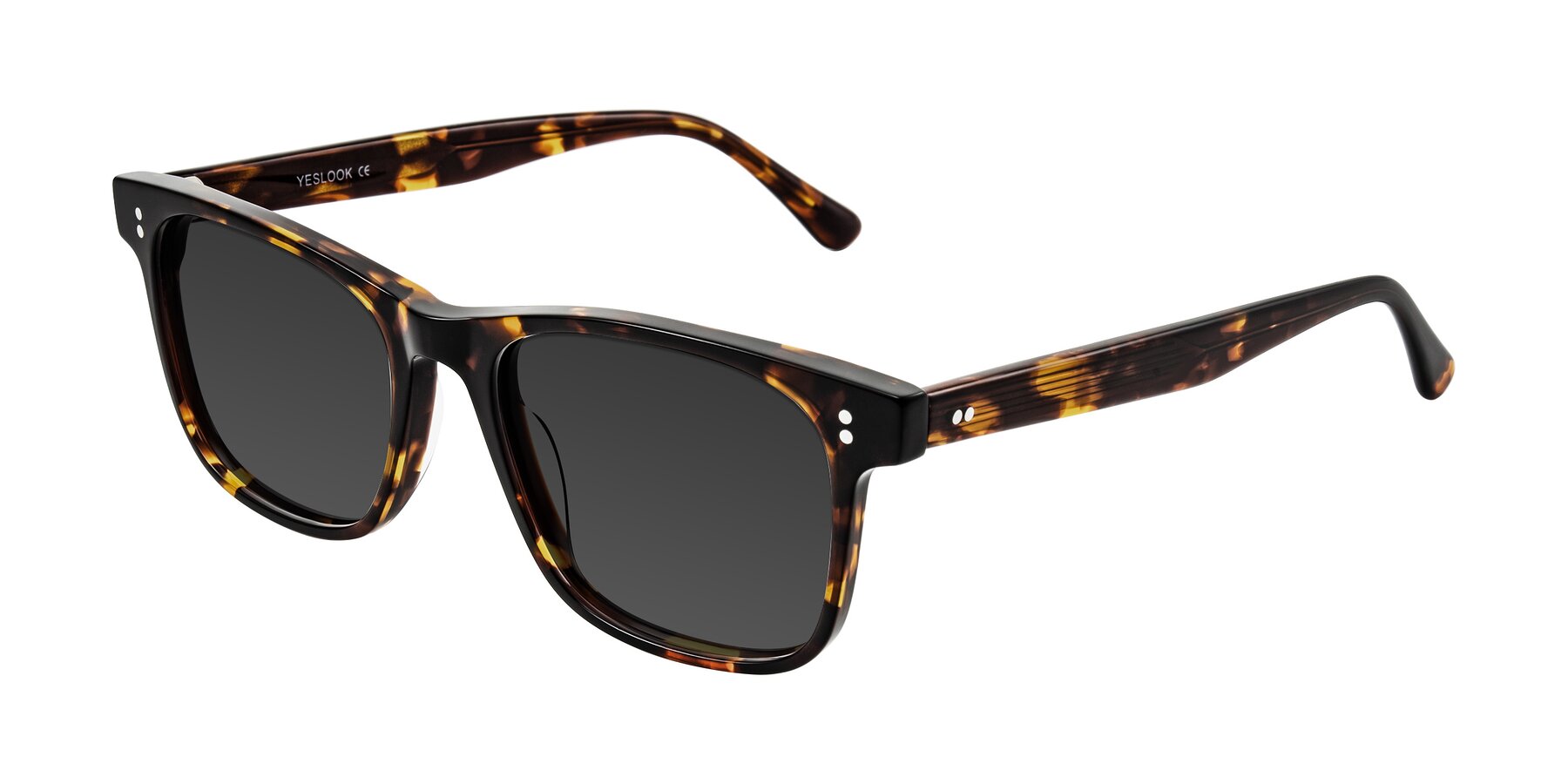 Angle of Rhanna in Tortoise with Gray Tinted Lenses