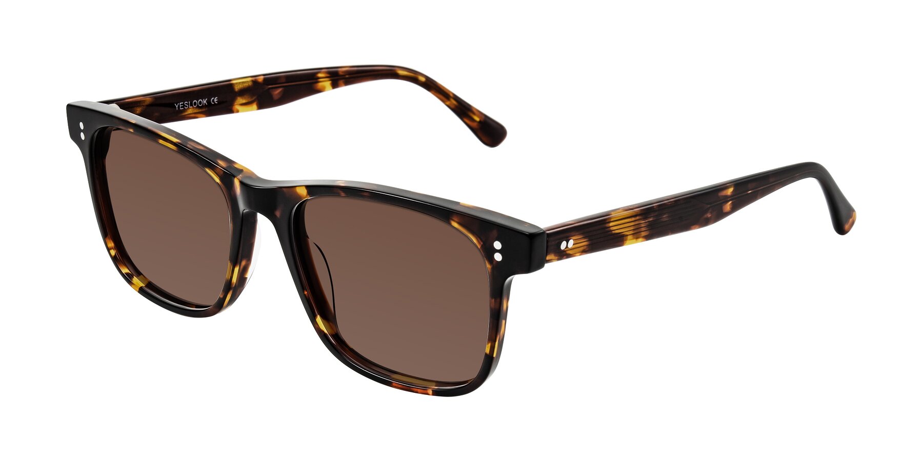 Angle of Rhanna in Tortoise with Brown Tinted Lenses