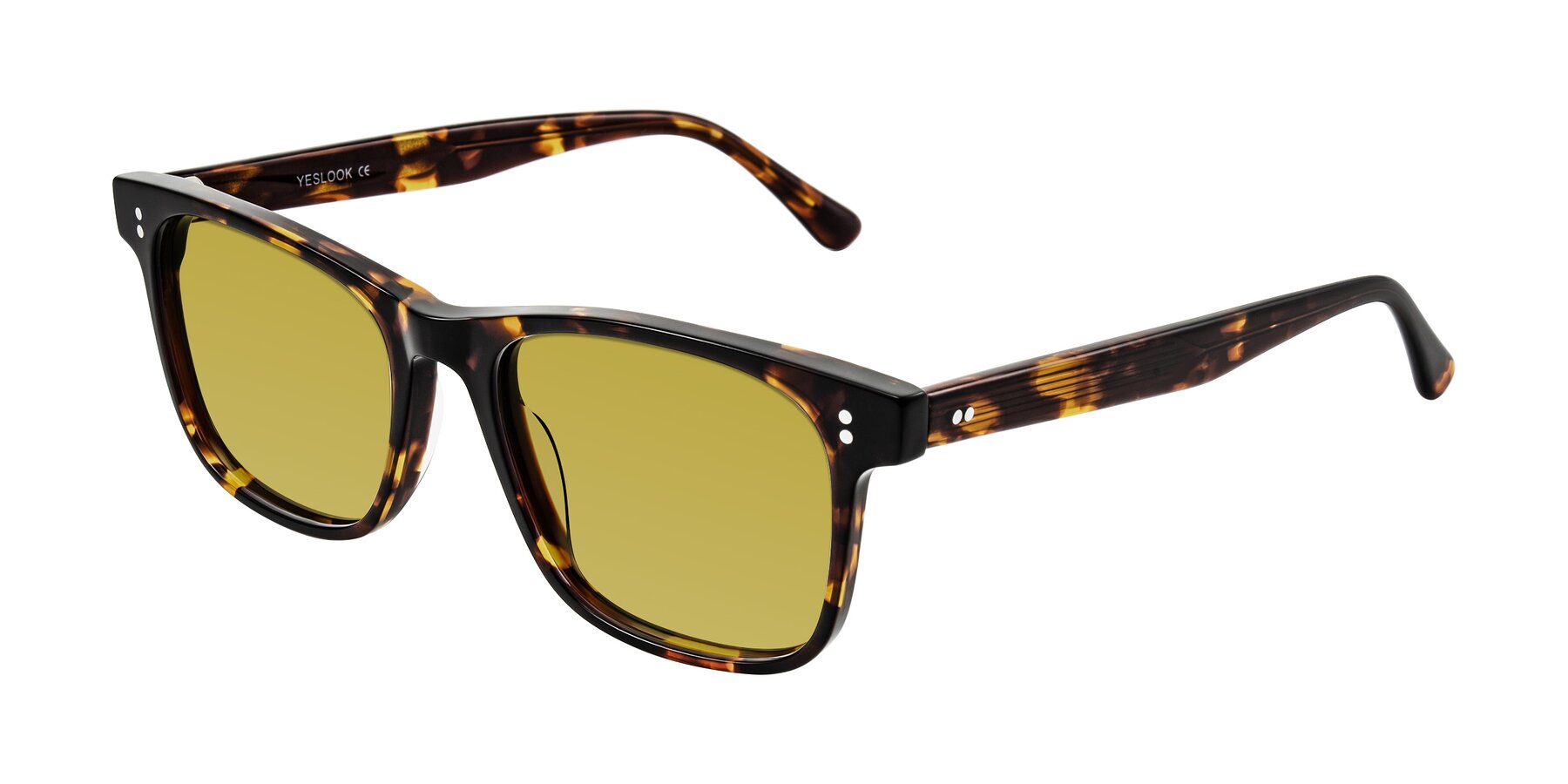 Angle of Rhanna in Tortoise with Champagne Tinted Lenses