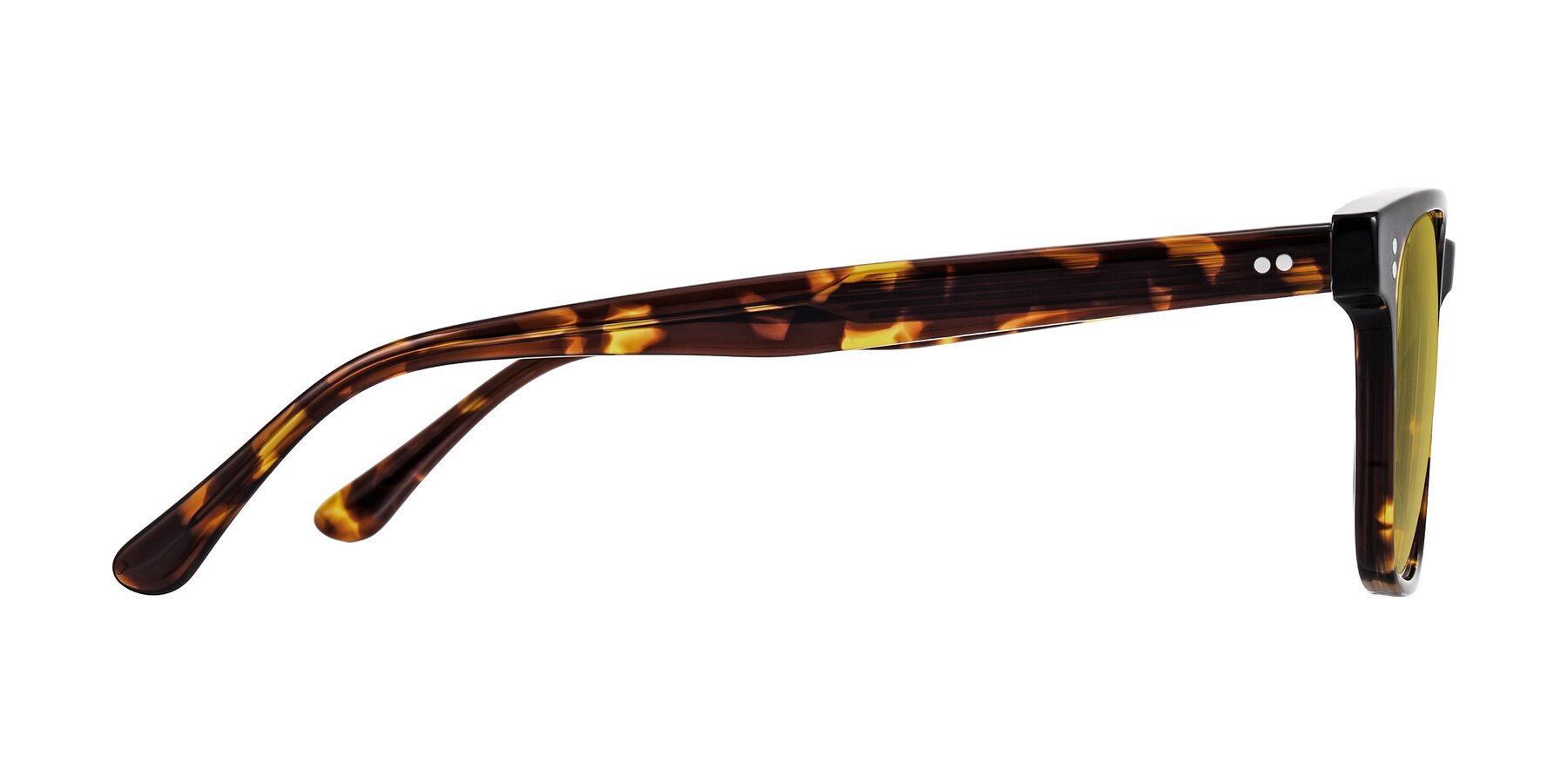 Side of Rhanna in Tortoise with Champagne Tinted Lenses