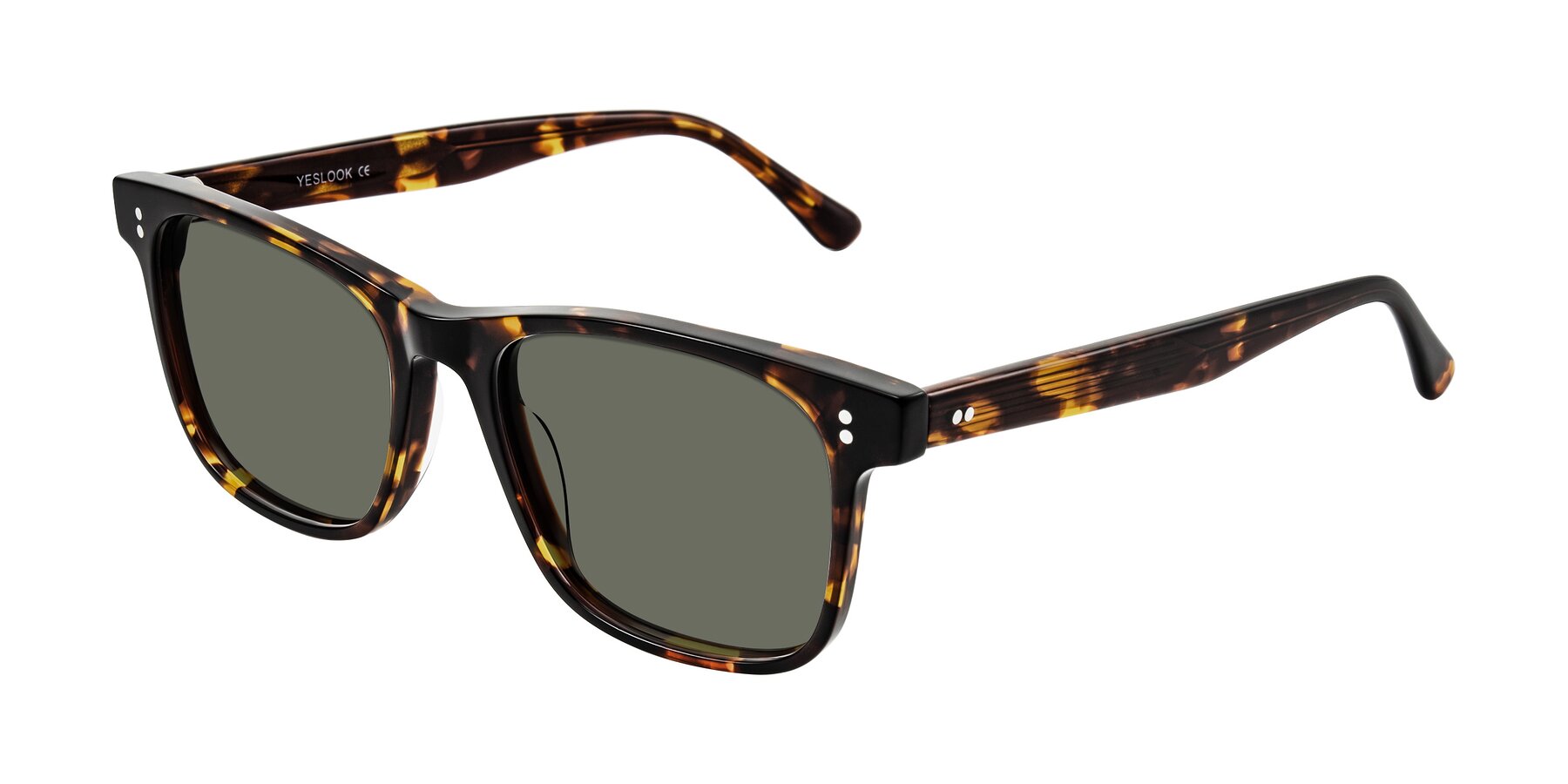 Angle of Rhanna in Tortoise with Gray Polarized Lenses