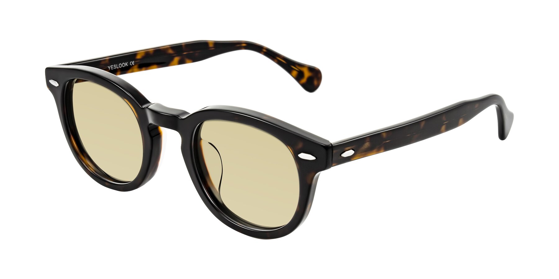 Angle of Estean in Dark Tortoise with Light Champagne Tinted Lenses