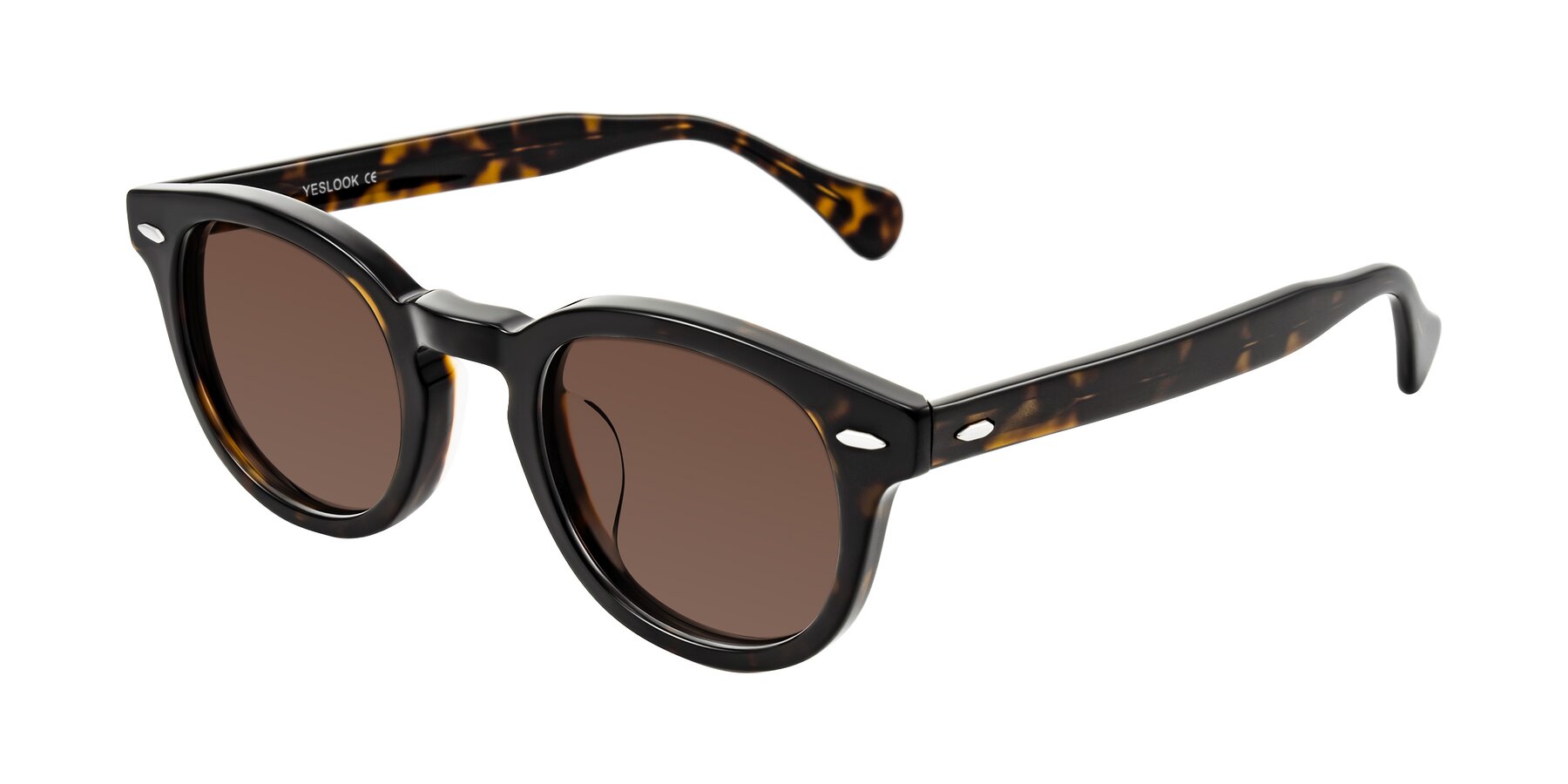 Angle of Estean in Dark Tortoise with Brown Tinted Lenses