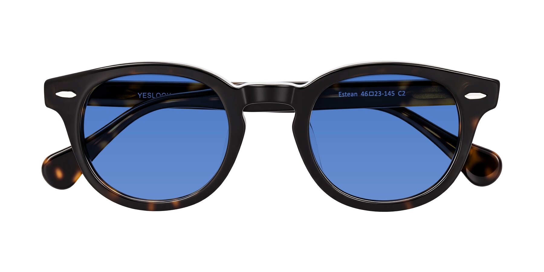 Folded Front of Estean in Dark Tortoise with Blue Tinted Lenses