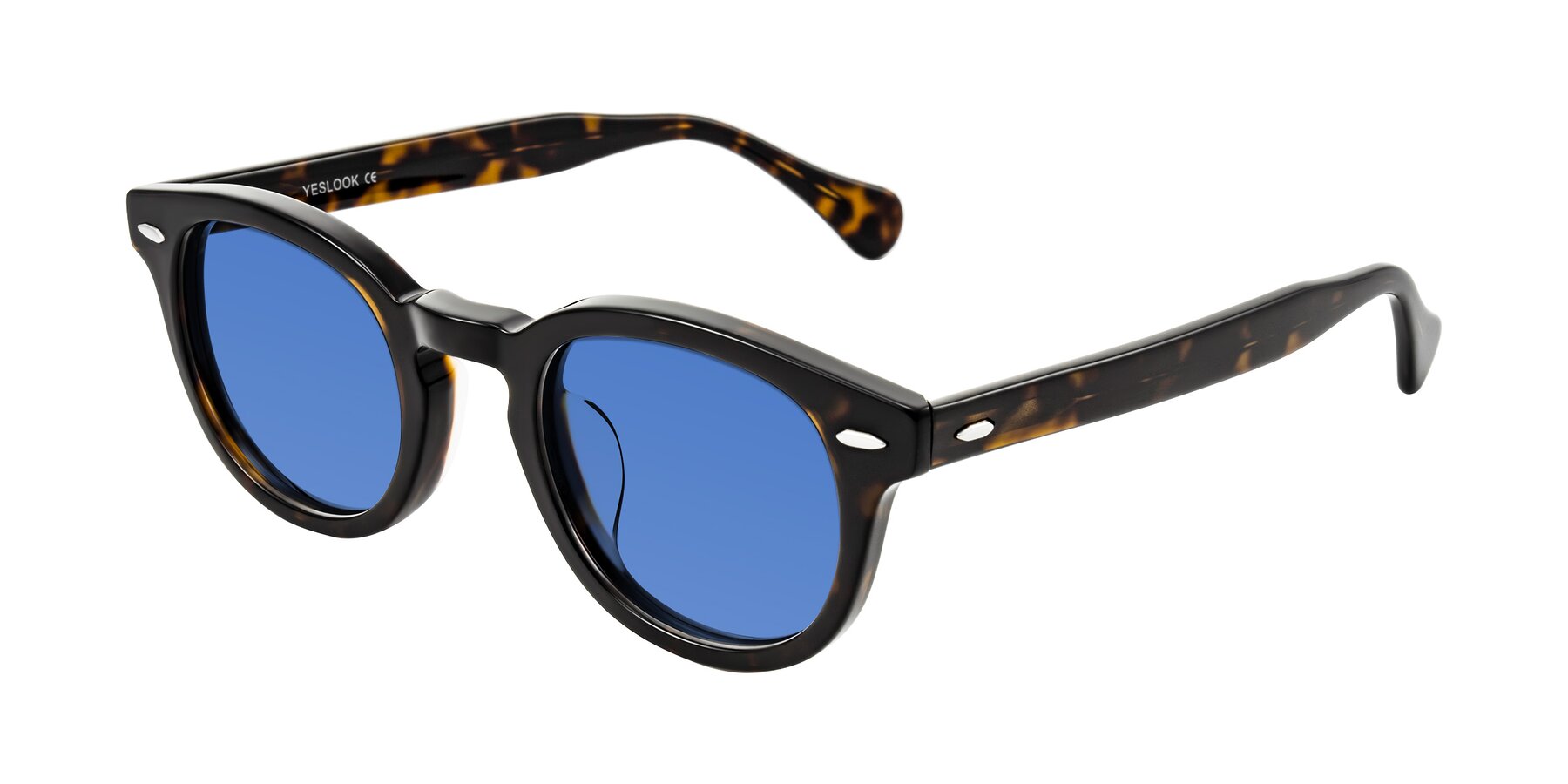 Angle of Estean in Dark Tortoise with Blue Tinted Lenses