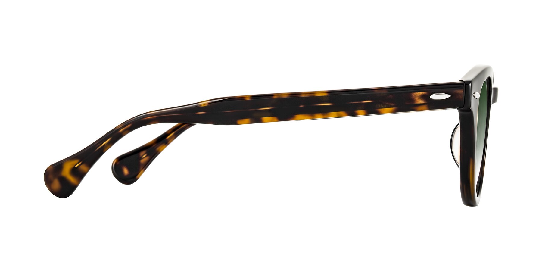 Side of Estean in Dark Tortoise with Green Gradient Lenses