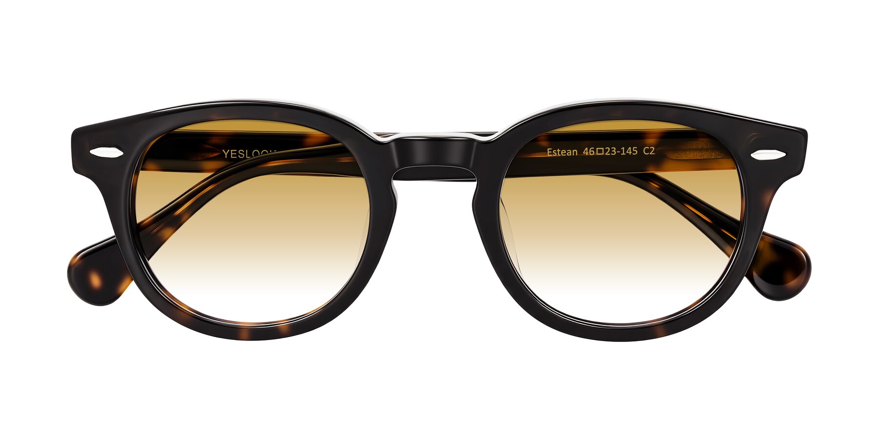 Folded Front of Estean in Dark Tortoise with Champagne Gradient Lenses