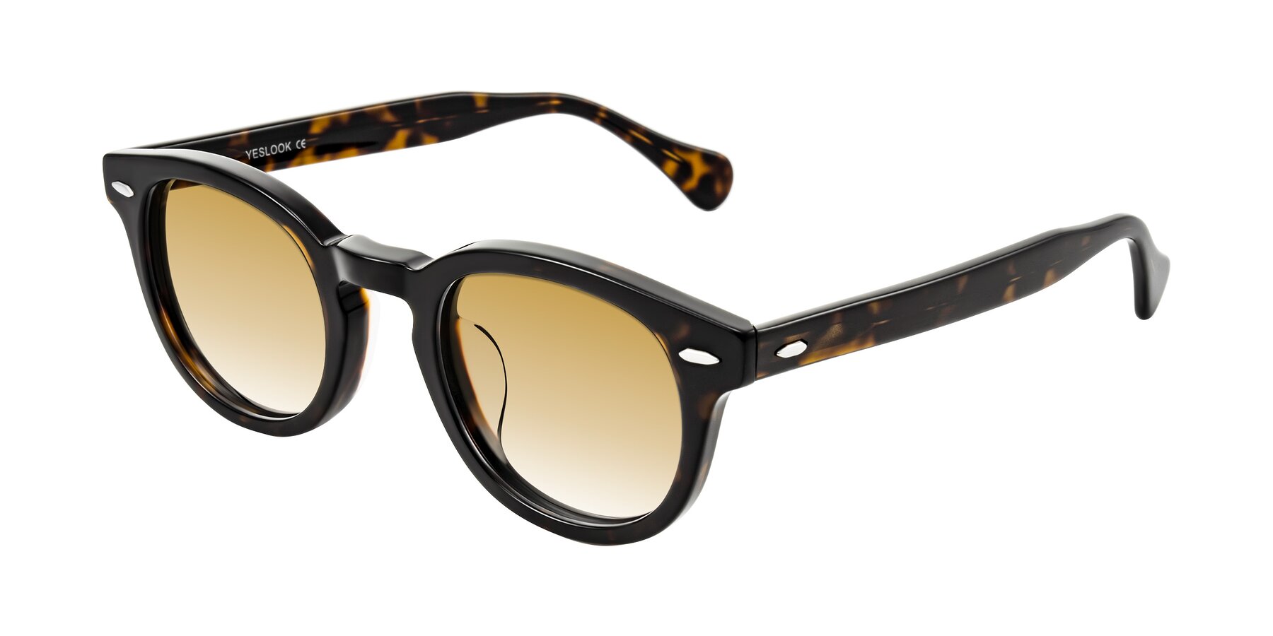 Angle of Estean in Dark Tortoise with Champagne Gradient Lenses