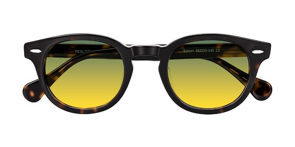 Front of Estean in Dark Tortoise