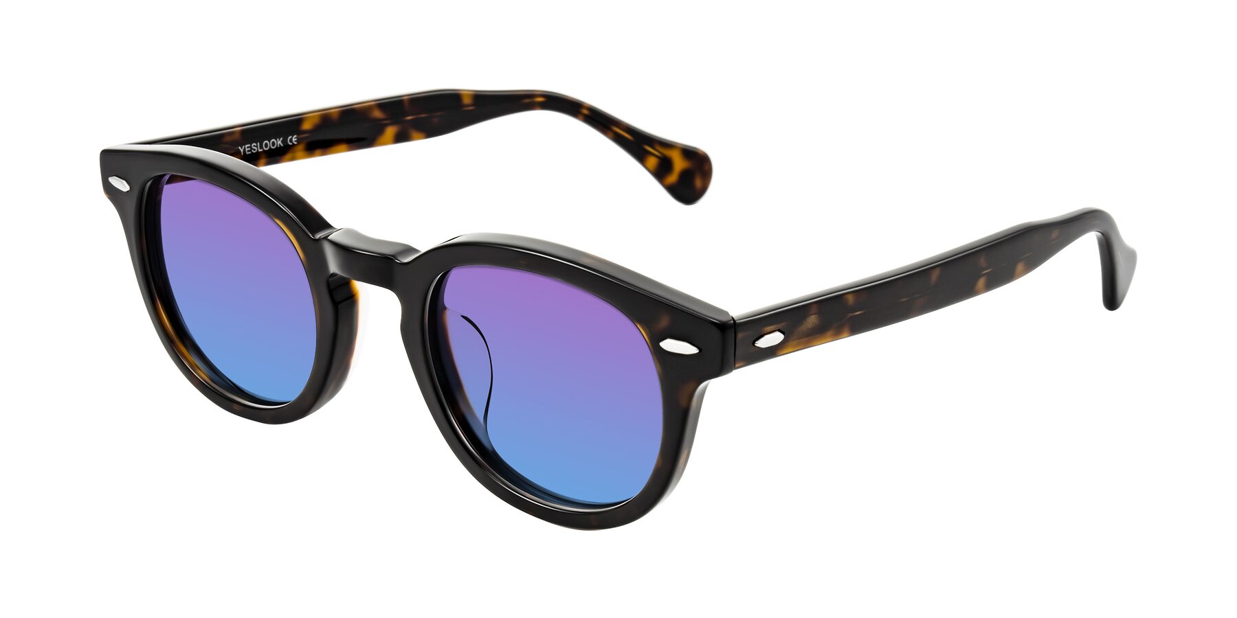 Angle of Estean in Dark Tortoise with Purple / Blue Gradient Lenses