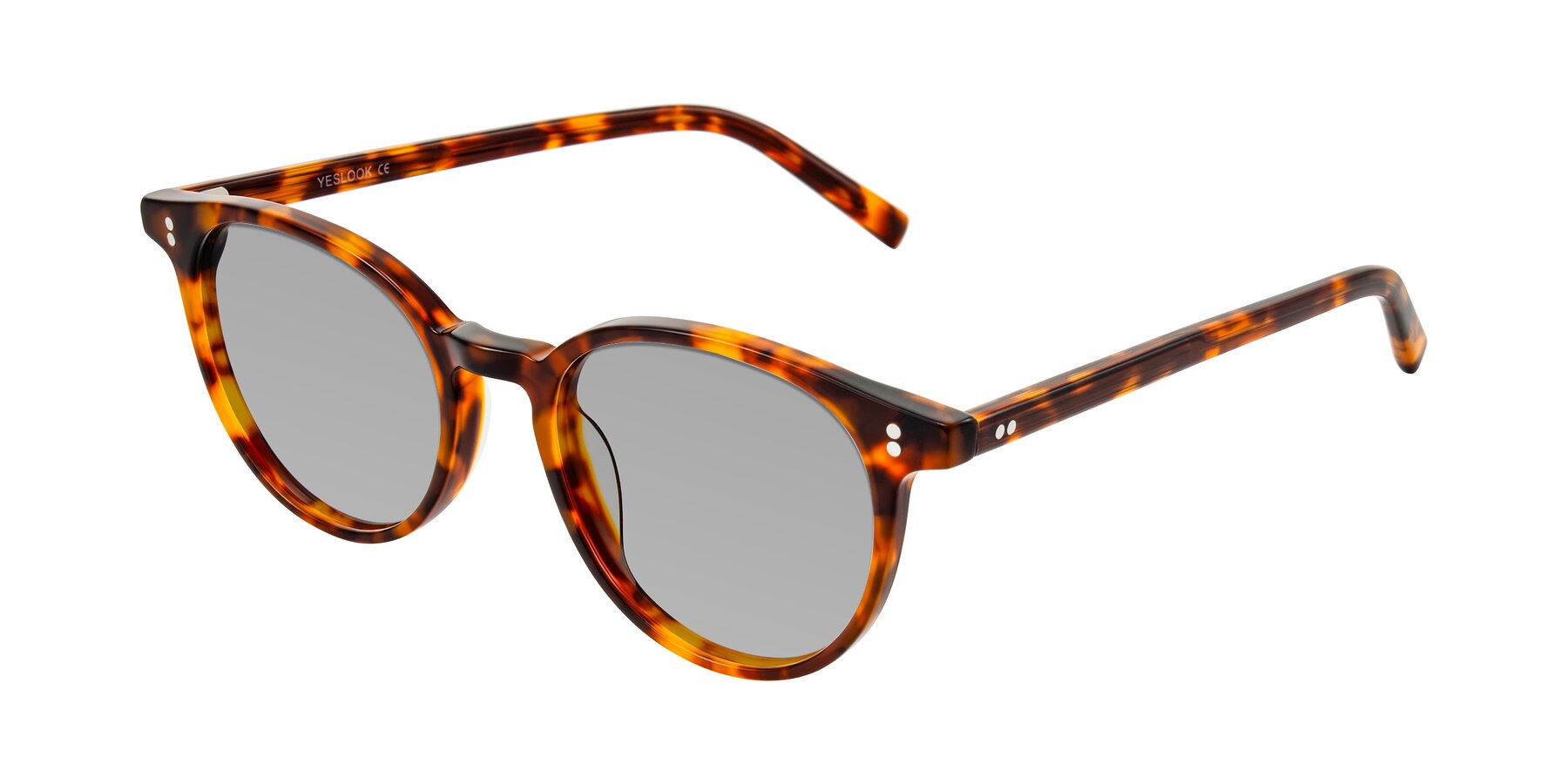 Angle of Haharou in Tortoise with Light Gray Tinted Lenses