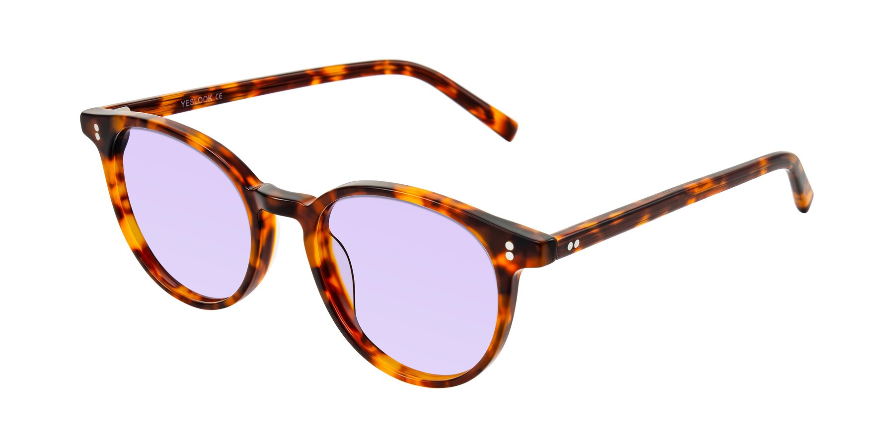 Angle of Haharou in Tortoise with Light Purple Tinted Lenses