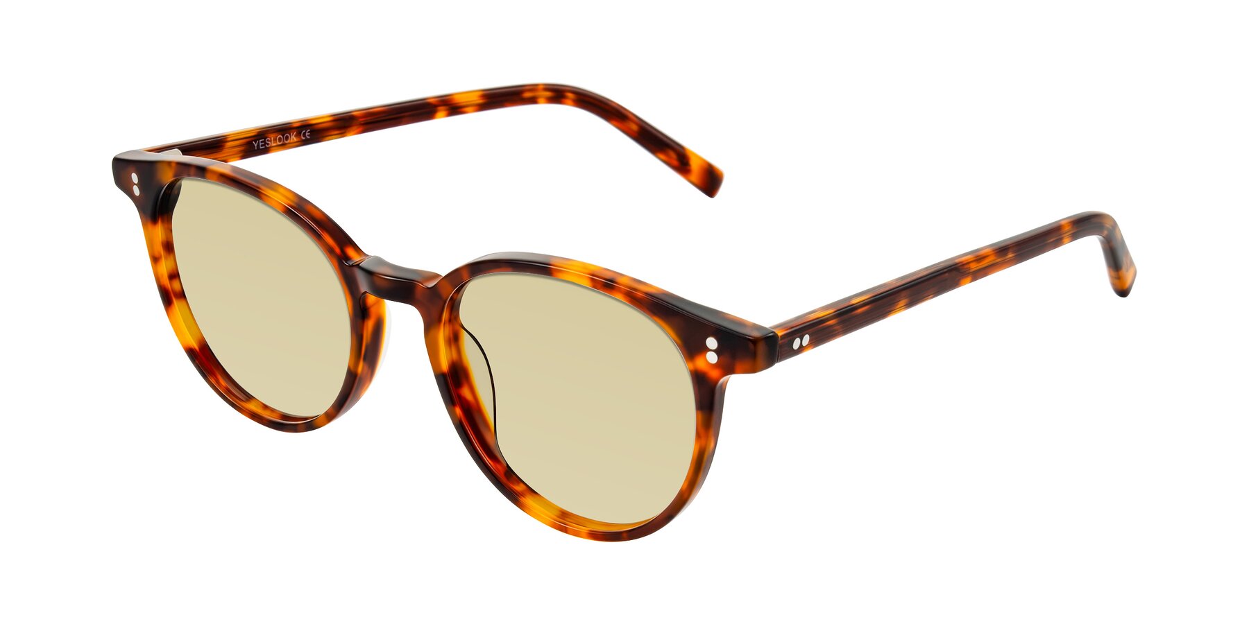 Angle of Haharou in Tortoise with Light Champagne Tinted Lenses