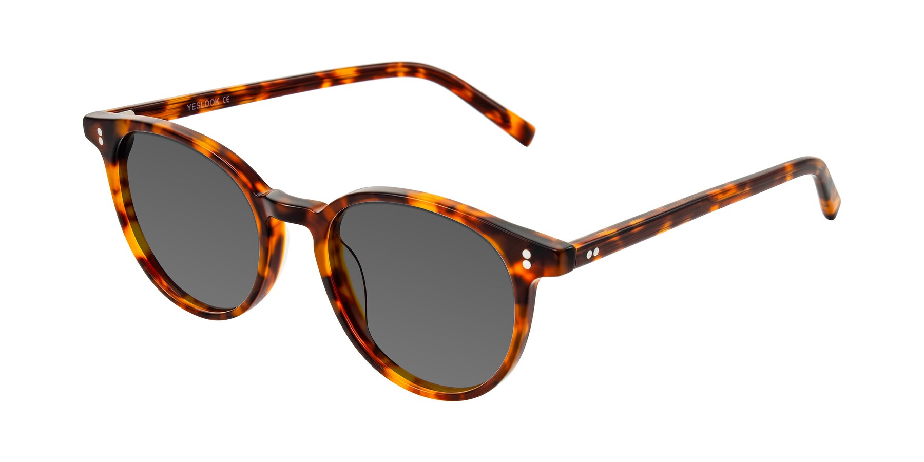 Angle of Haharou in Tortoise with Medium Gray Tinted Lenses