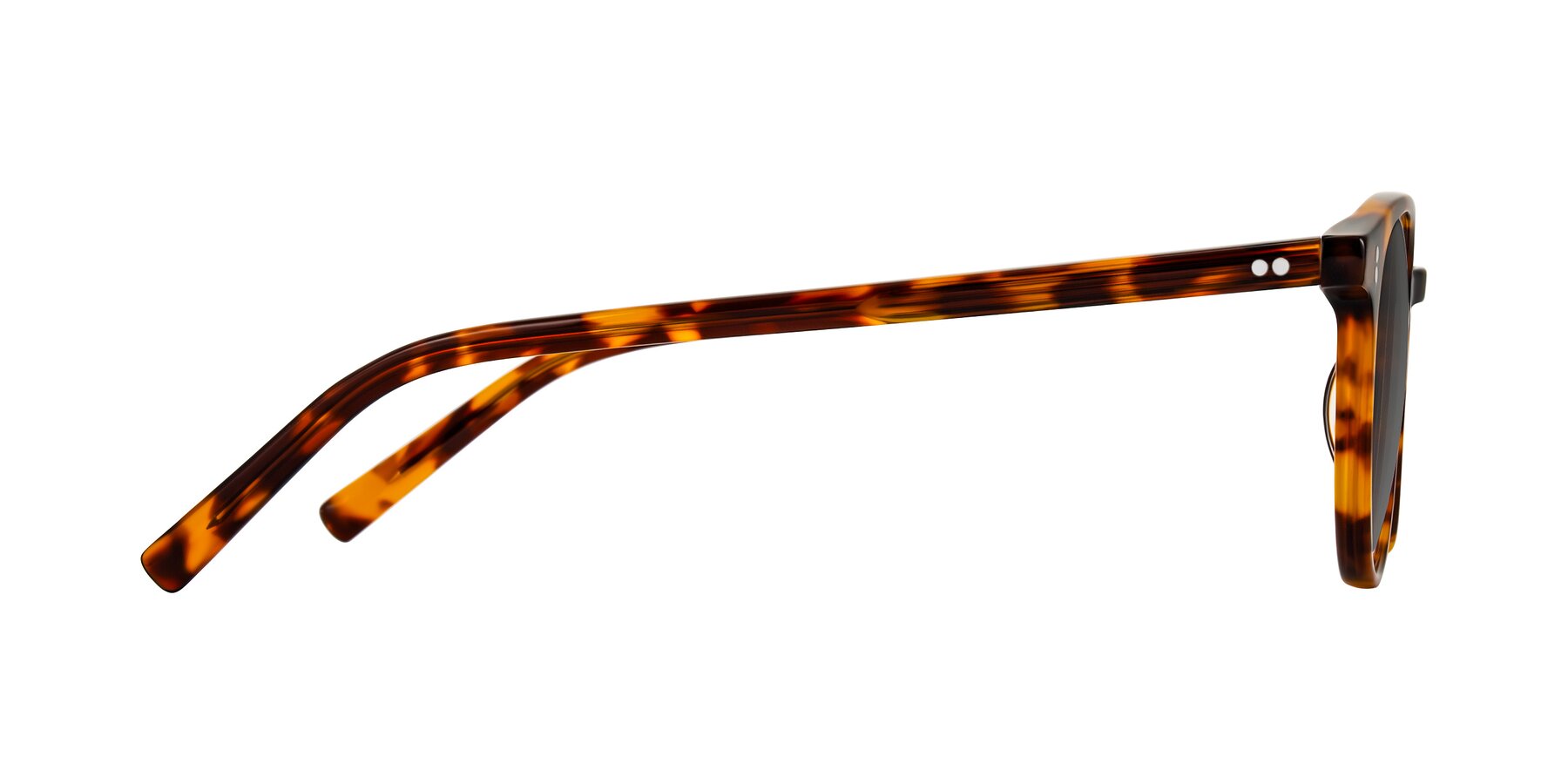 Side of Haharou in Tortoise with Medium Gray Tinted Lenses