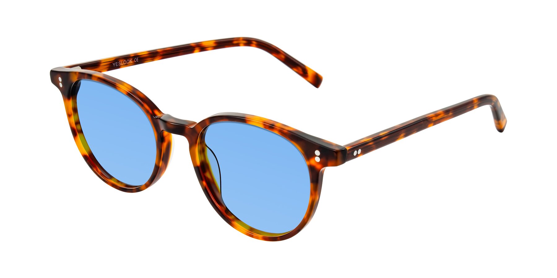 Angle of Haharou in Tortoise with Medium Blue Tinted Lenses