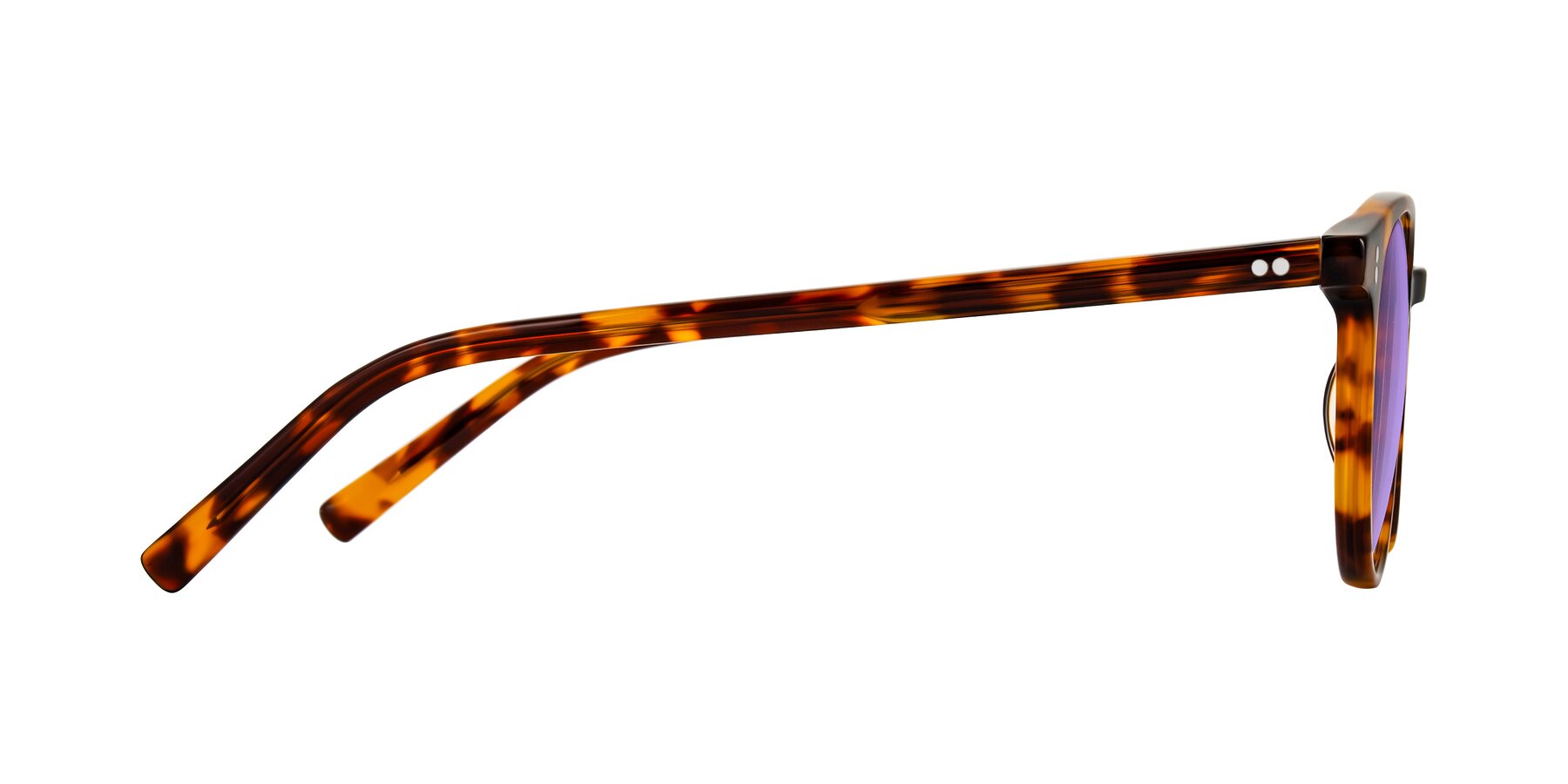Side of Haharou in Tortoise with Medium Purple Tinted Lenses