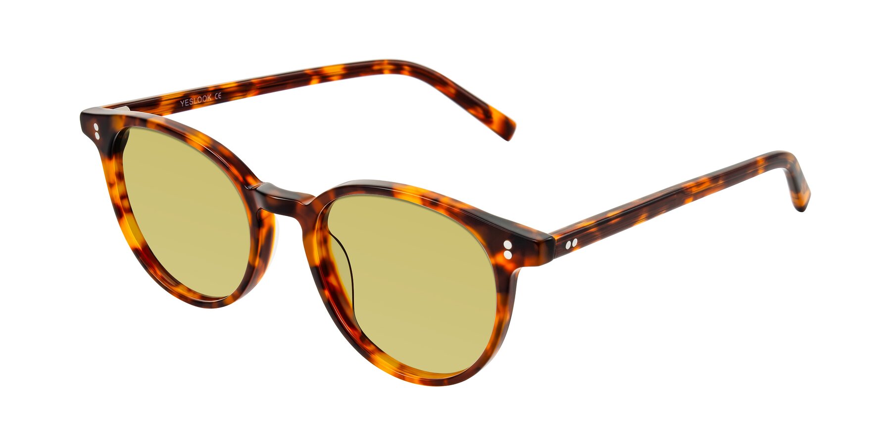 Angle of Haharou in Tortoise with Medium Champagne Tinted Lenses
