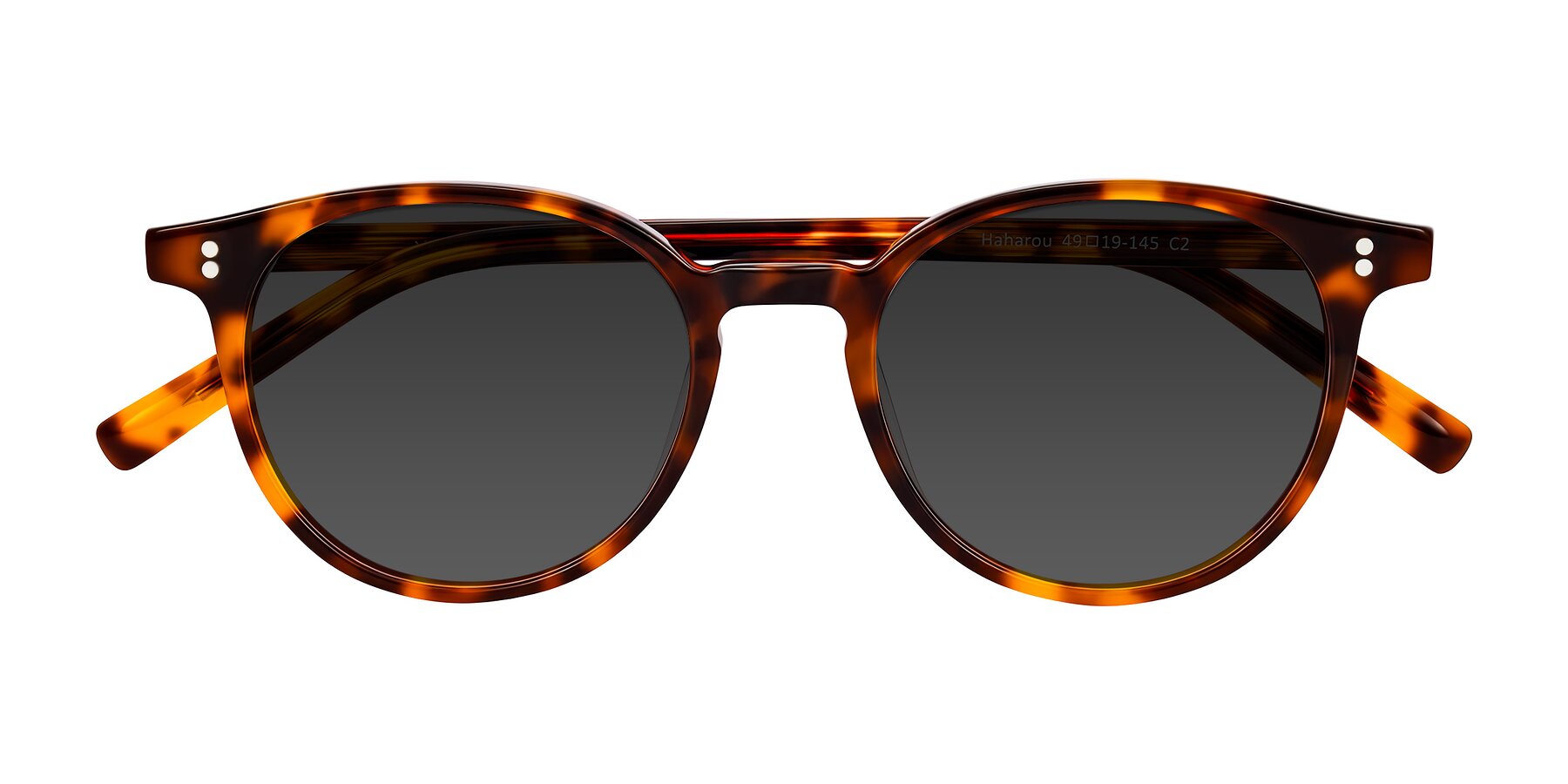 Folded Front of Haharou in Tortoise with Gray Tinted Lenses