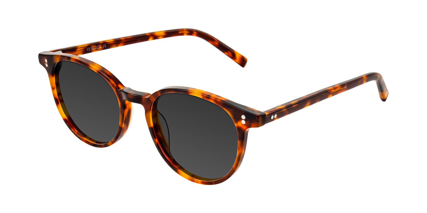 Angle of Haharou in Tortoise with Gray Tinted Lenses