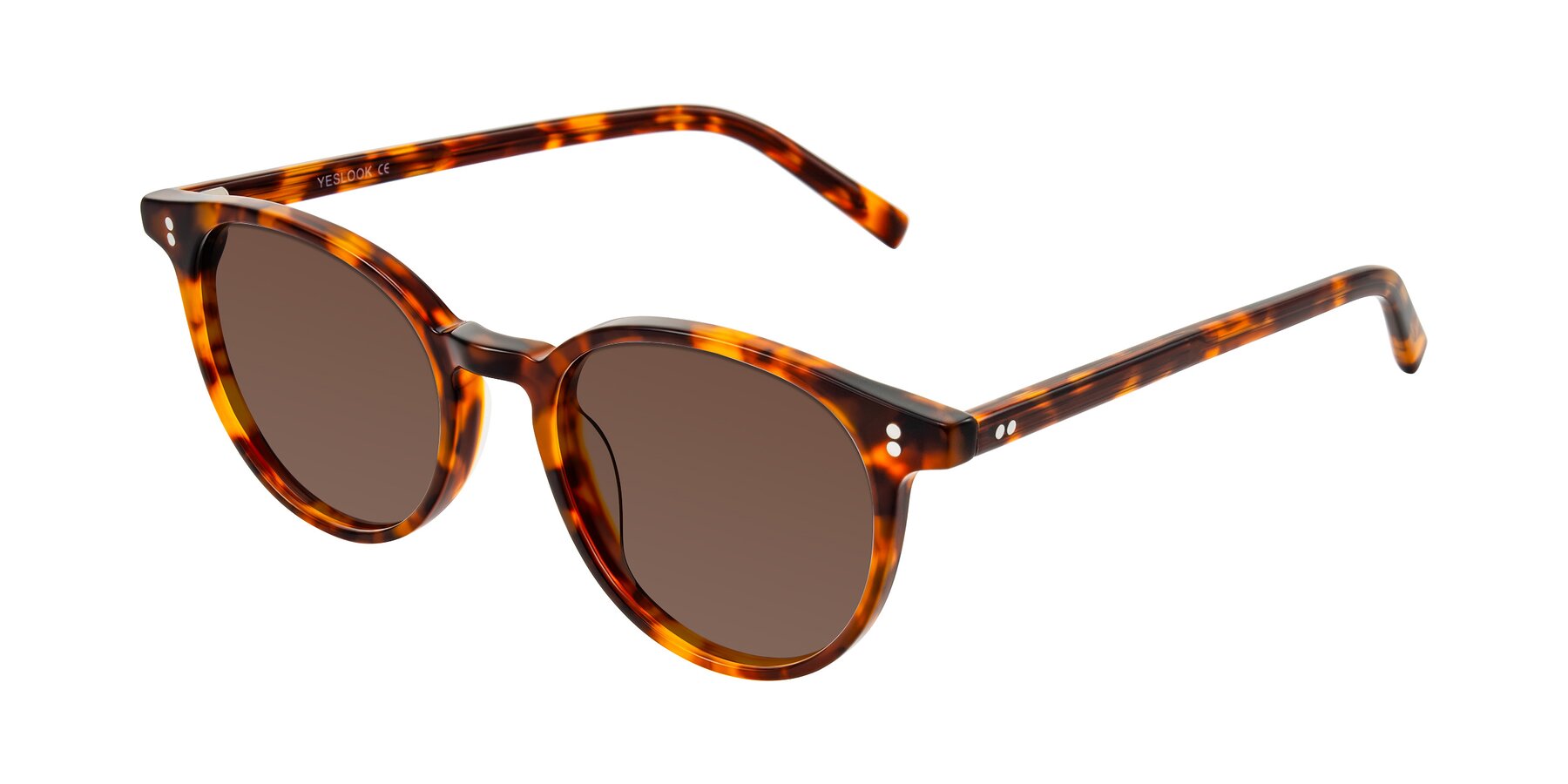 Angle of Haharou in Tortoise with Brown Tinted Lenses